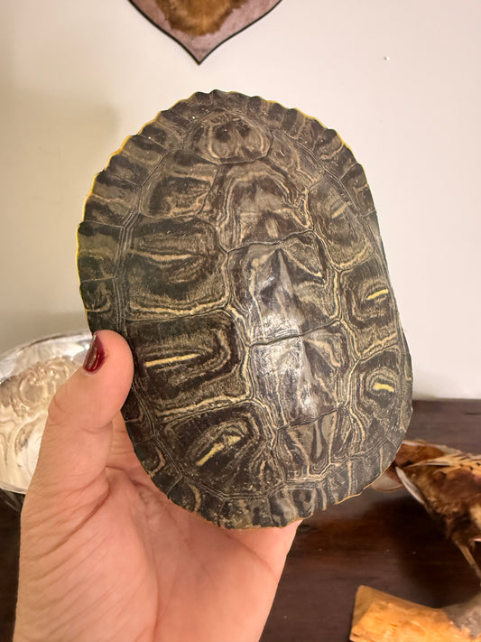 For Melinda - Vintage Turtleshell