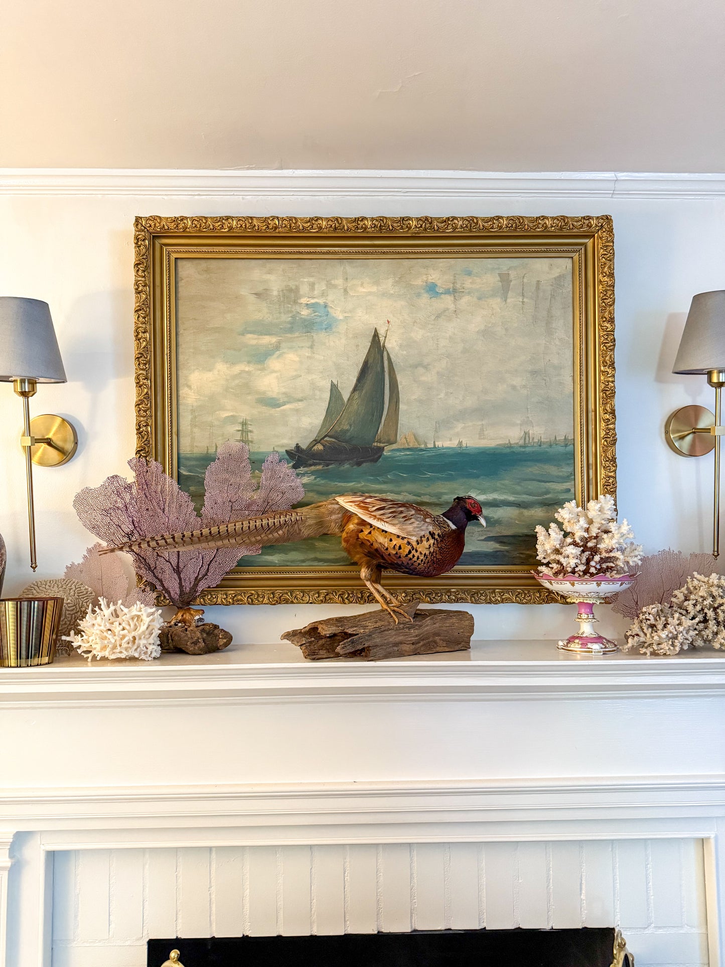 For Theresa- Beautiful Pheasant Taxidermy- Live Sale 10.19