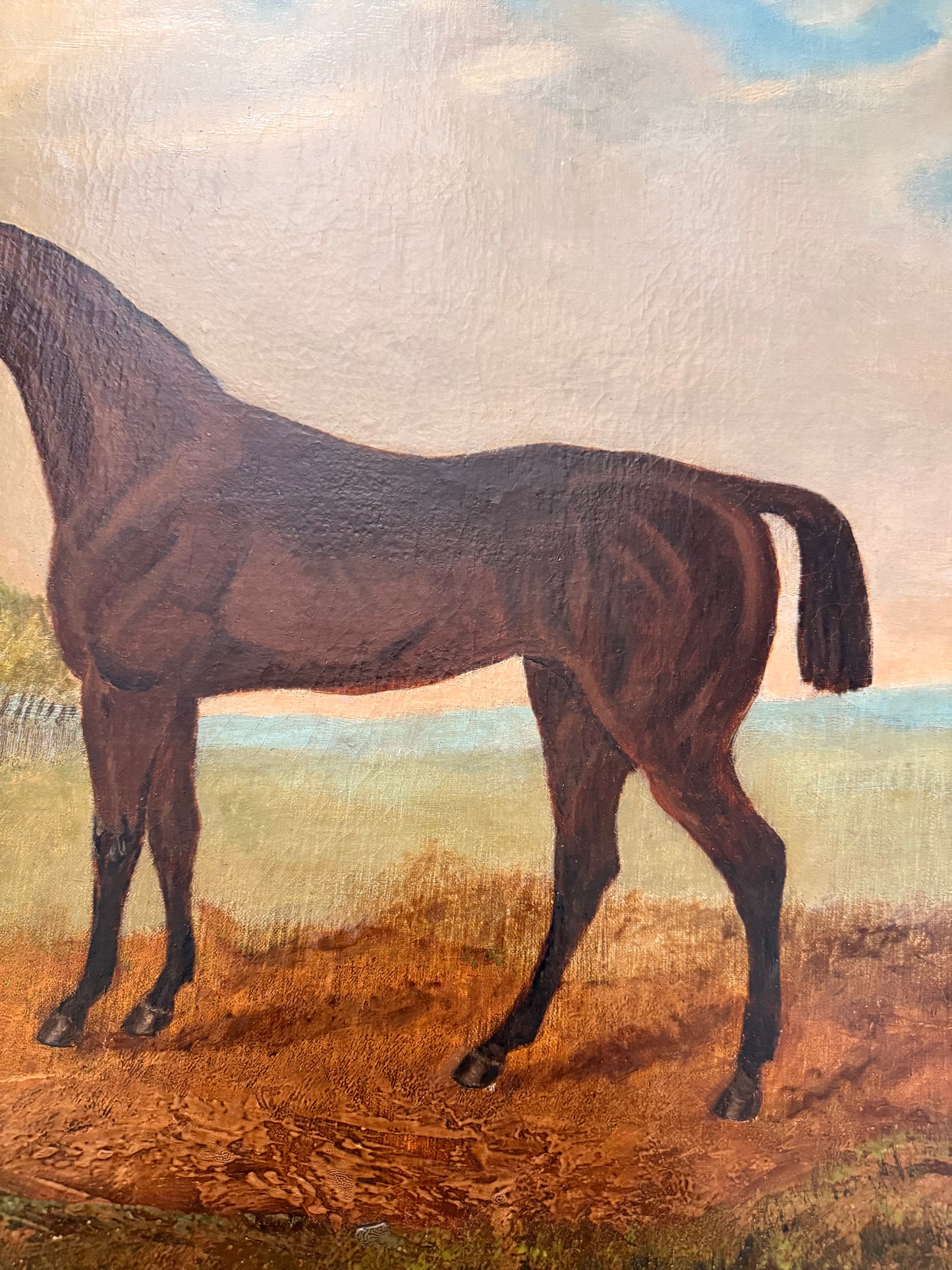 William Windred (British, active late 19th century) — Horse Portrait, 1887