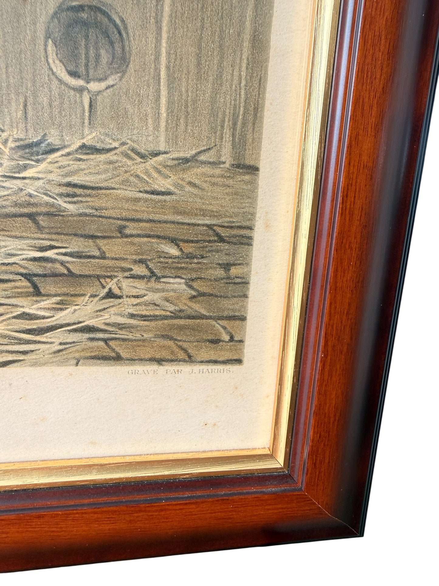 Antique French Equestrian Print “Monarque” – Thoroughbred Horse Study – Framed