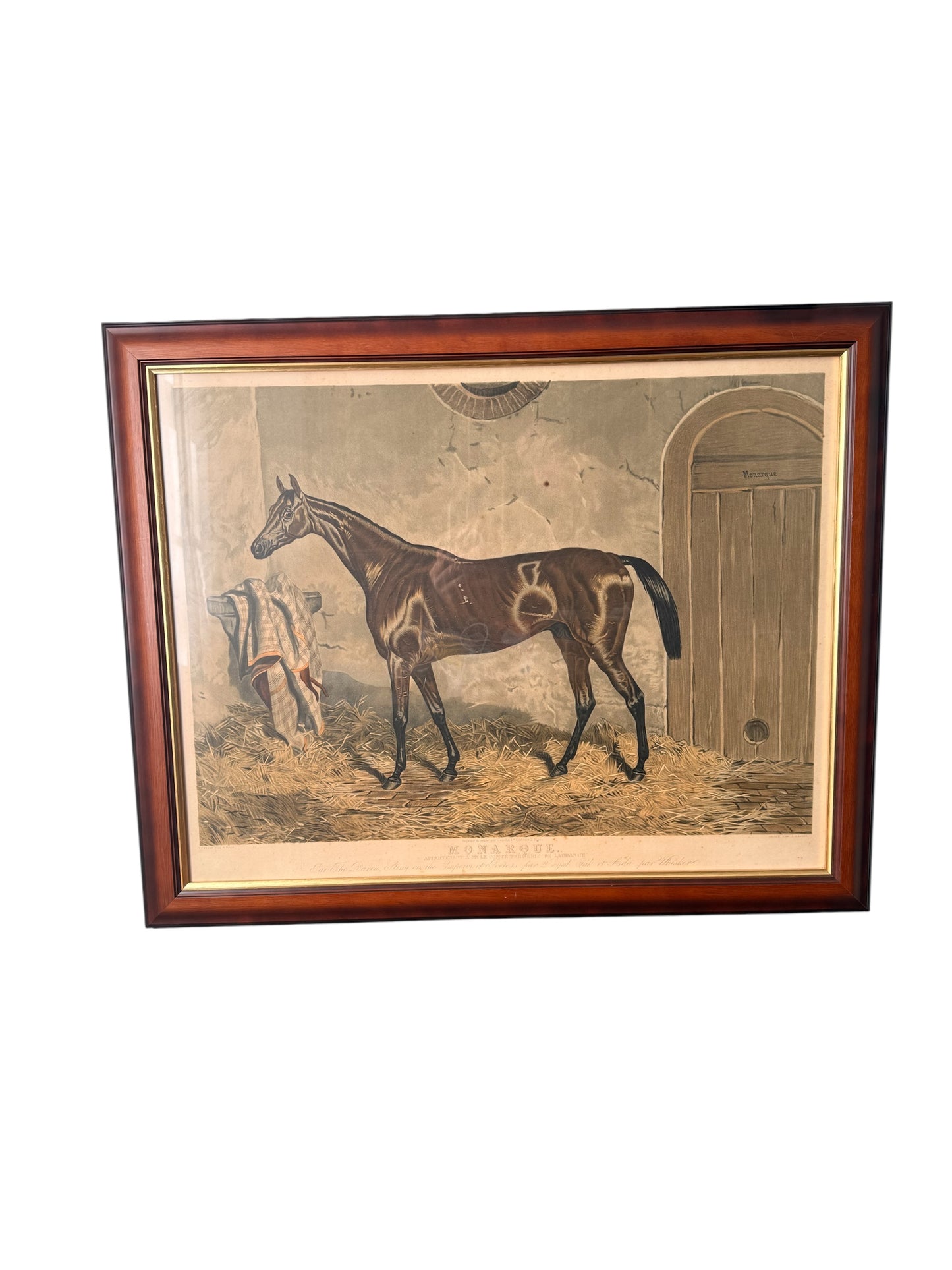 Antique French Equestrian Print “Monarque” – Thoroughbred Horse Study – Framed