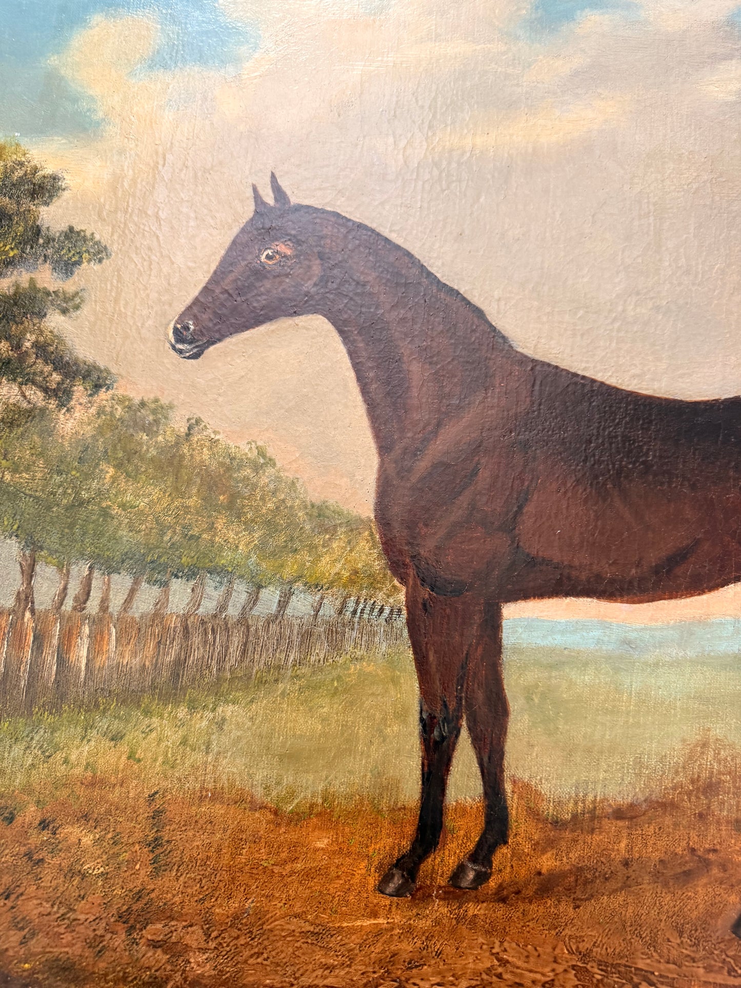 William Windred (British, active late 19th century) — Horse Portrait, 1887