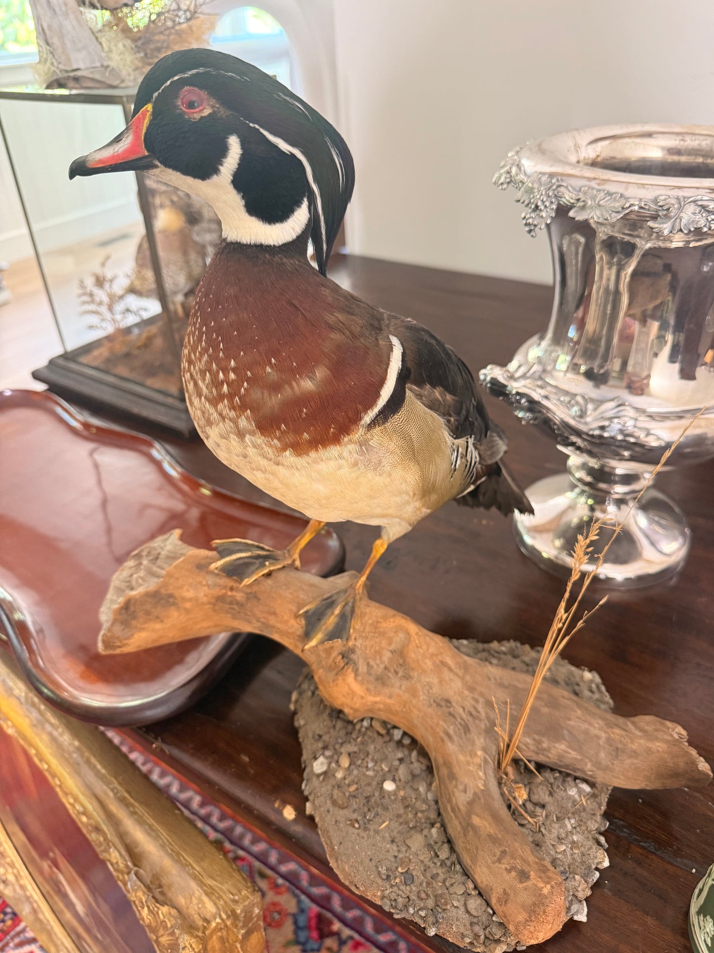 For Julie - Vintage Wood Duck